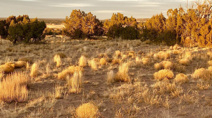 20250302231908146238000000-o