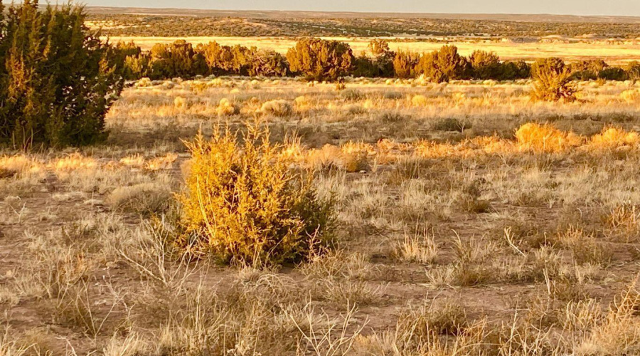 20250302232633312405000000-o