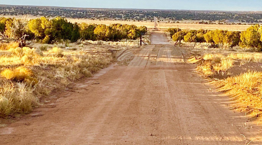 20250303064544118986000000-o