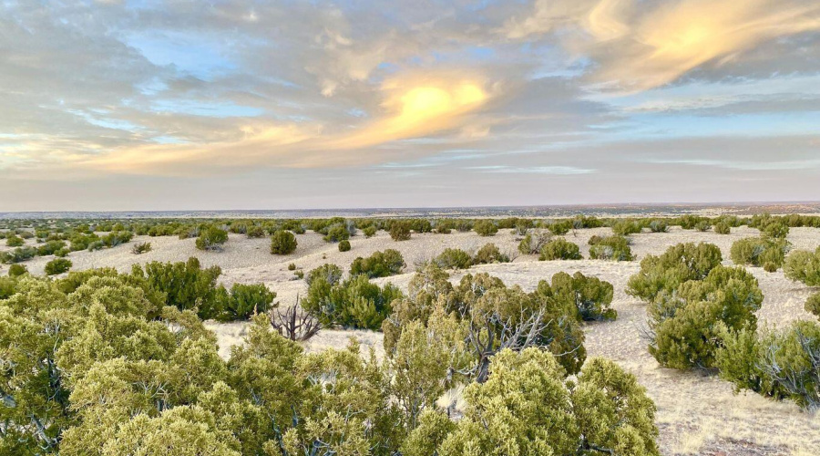 20250302091857607278000000-o