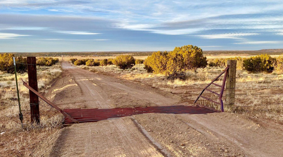 20250302233922423208000000-o