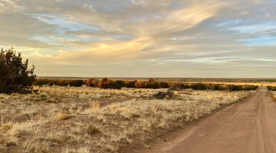 20250302232026725048000000-o