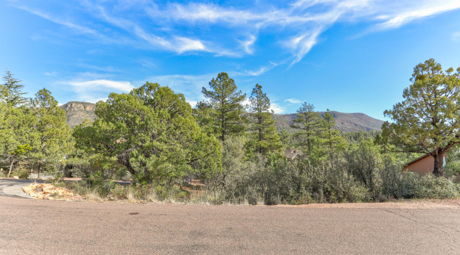 mls-1E0A5360_1_2_3_4 copy 2