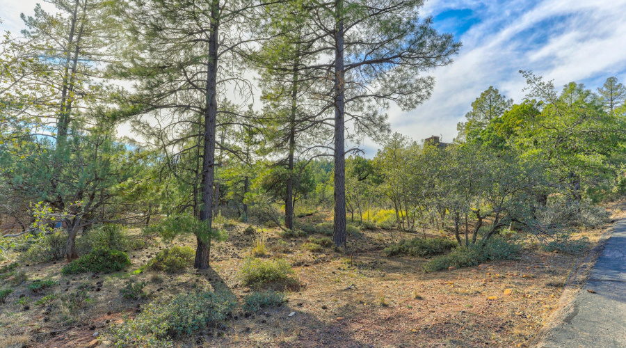 mls-1E0A5380_1_2_3_4 copy 2