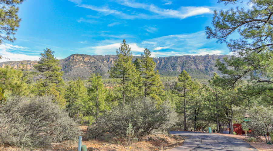 mls-1E0A5375_6_7_8_9 copy 2