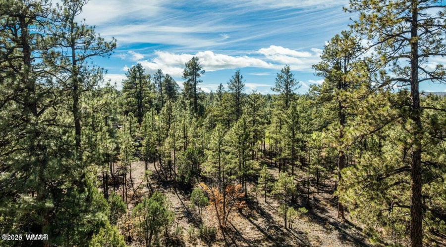 20251110205716305732000000-o