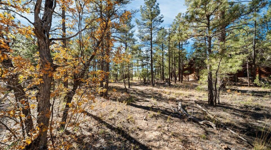 20251110205705746649000000-o