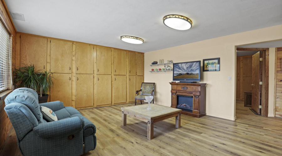 Downstairs Family Room