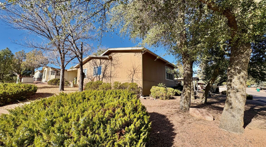 Corner of Lakeshore & Driftwood