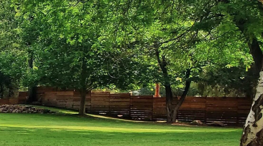 Blue_House_Yard-Summer