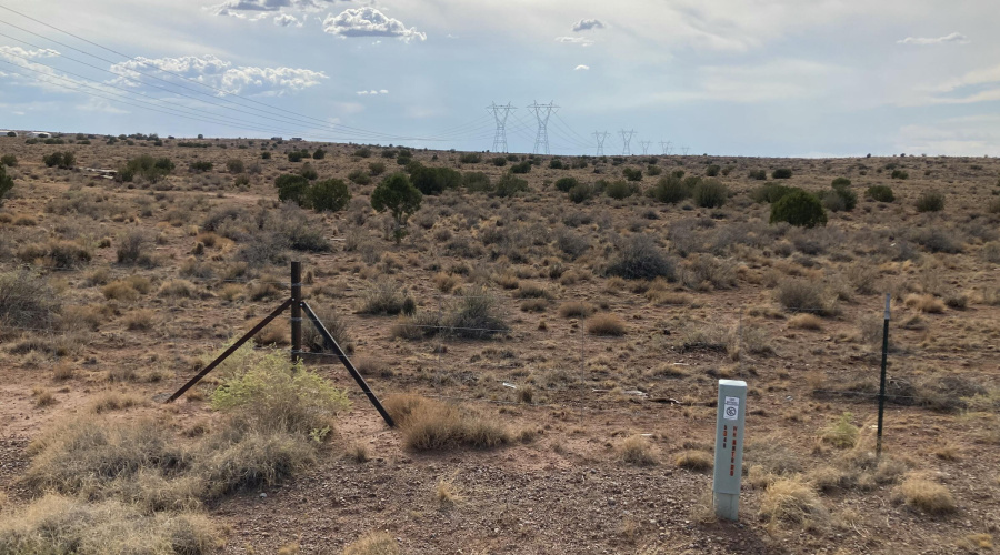 IMG_20250829_191048 (3)