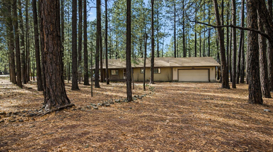 pinetop front