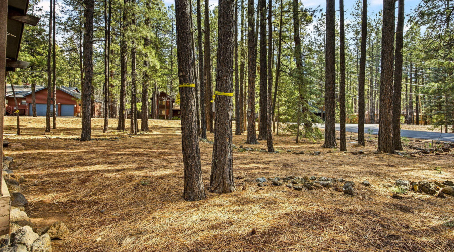 8714CountryClubDr-Pinetop-AZ-24