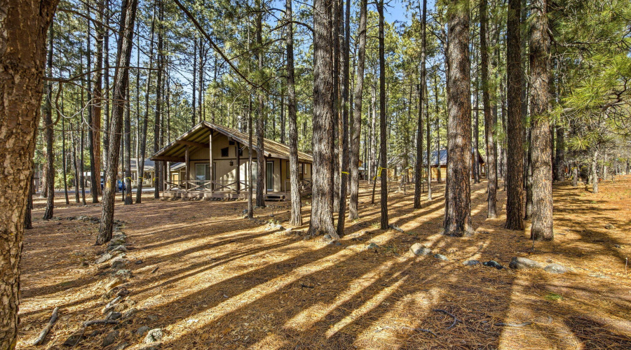 8714CountryClubDr-Pinetop-AZ-25