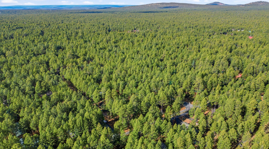 8714CountryClubDr-Pinetop-AZ-27