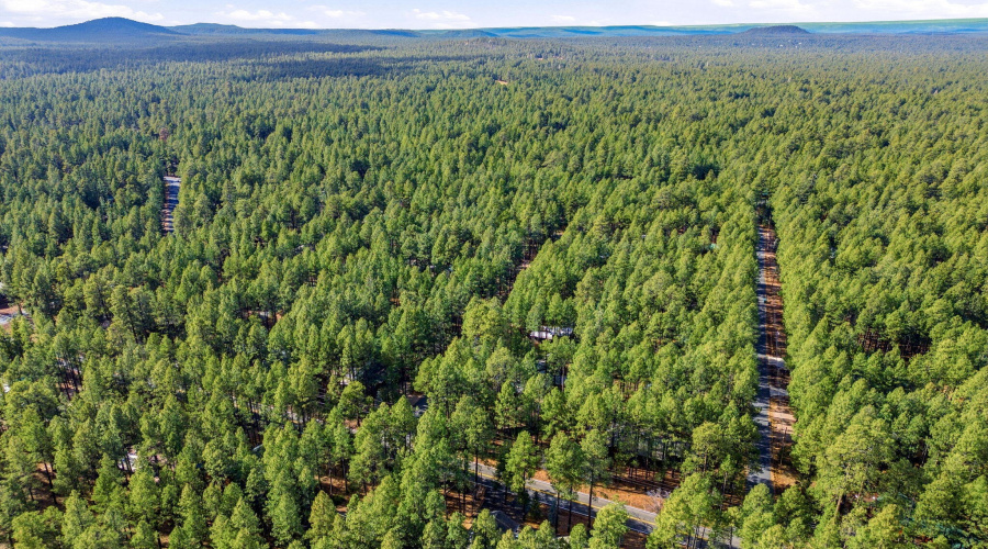 8714CountryClubDr-Pinetop-AZ-28