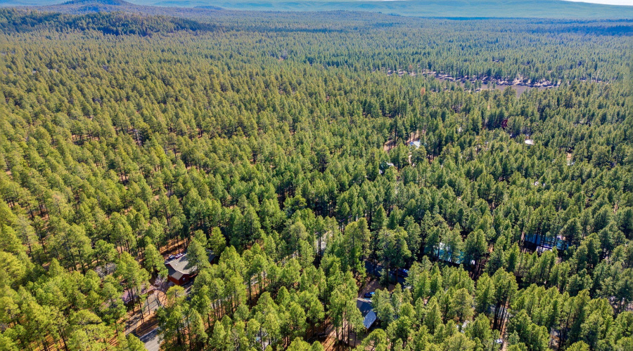 8714CountryClubDr-Pinetop-AZ-29