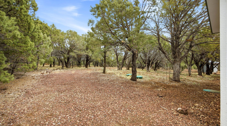 15CountyRd3183-ShowLow-AZ-23