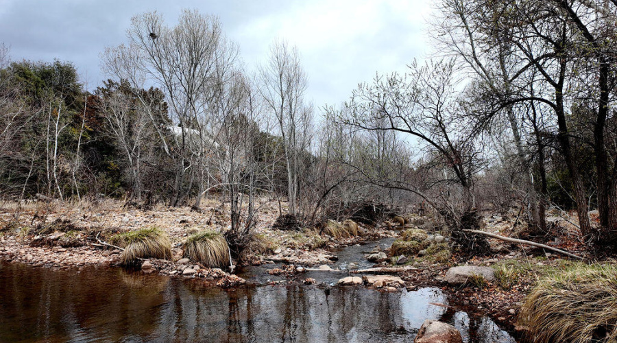 007_Trout_Creek_Cabin