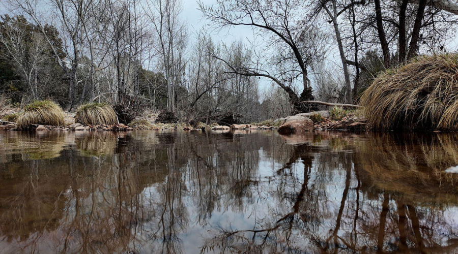 008_Trout_Creek_Cabin