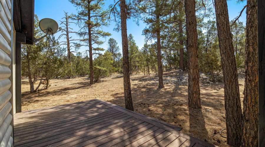 3310TontoDr-HeberOvergaard-AZ-38