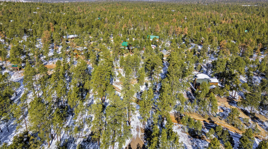 2074LoneMountainRd-HeberOvergaard-AZ-5