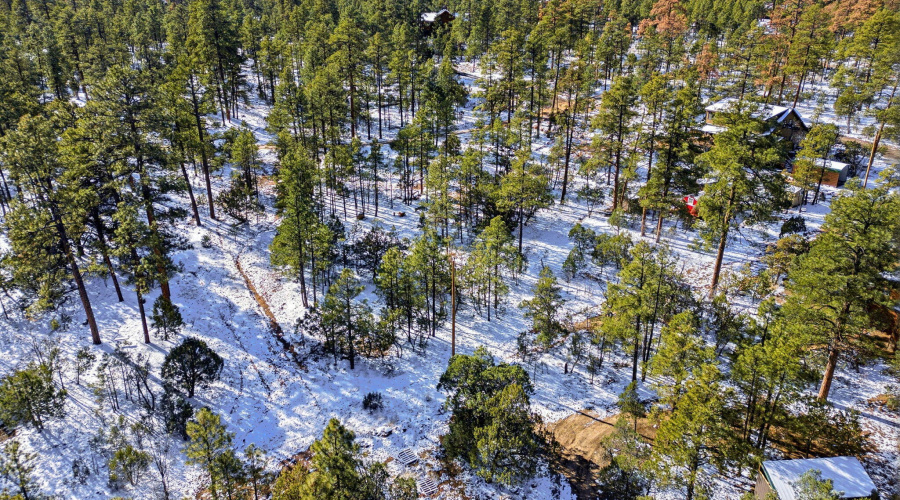 2074LoneMountainRd-HeberOvergaard-AZ-6