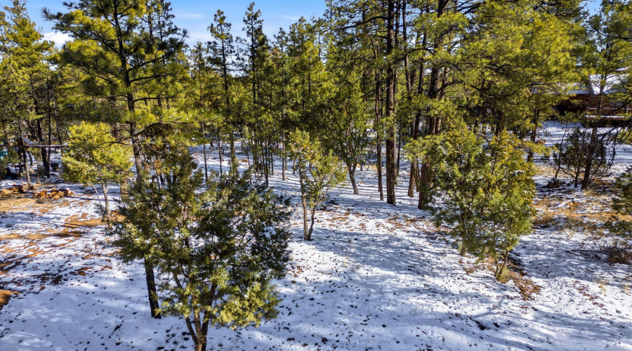 2074LoneMountainRd-HeberOvergaard-AZ-1