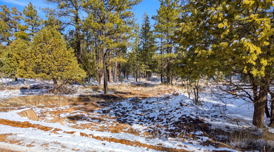 2074LoneMountainRd-HeberOvergaard-AZ-2