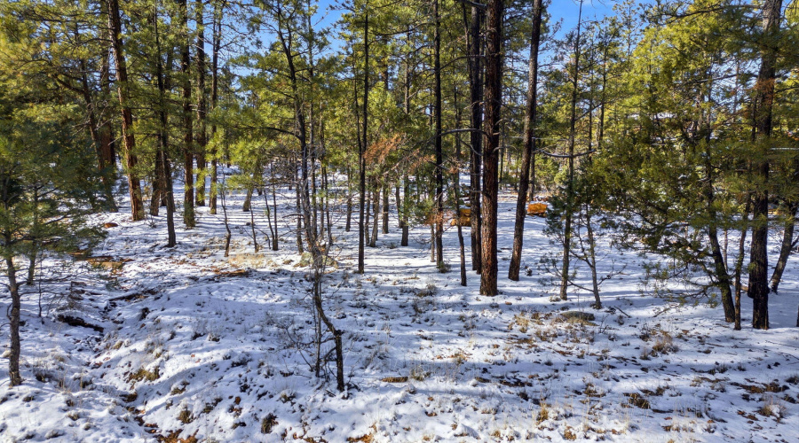 2074LoneMountainRd-HeberOvergaard-AZ-3