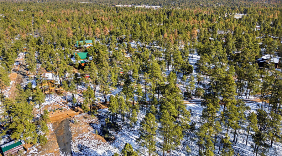 2074LoneMountainRd-HeberOvergaard-AZ-4