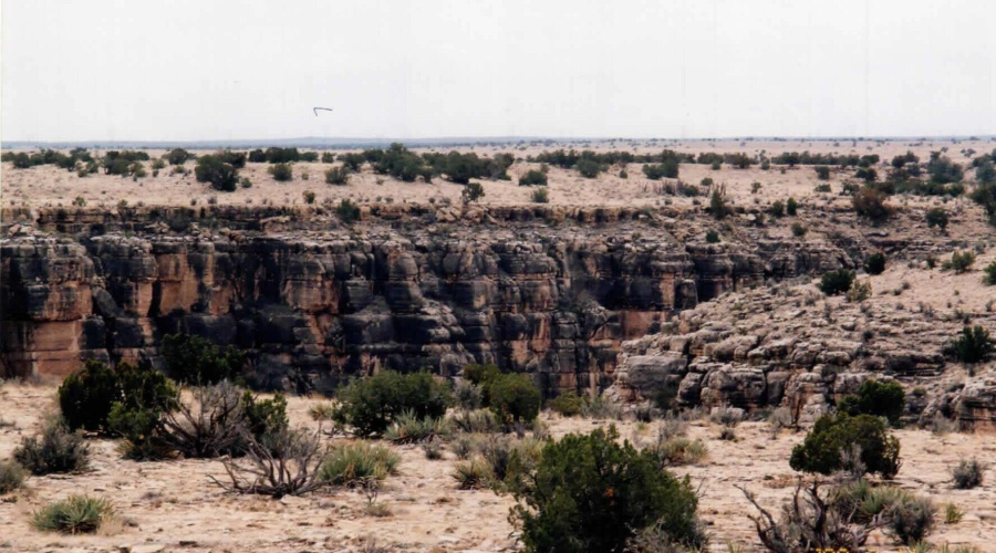 Land pic 003.pdf copy3