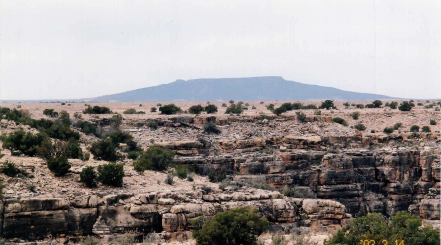 Land pic 004.pdf copy4