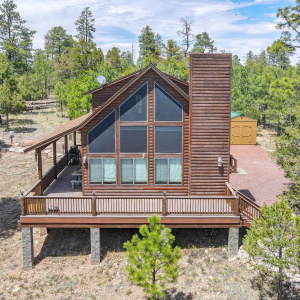 dji_fly_20250529_140028_254_174864692622