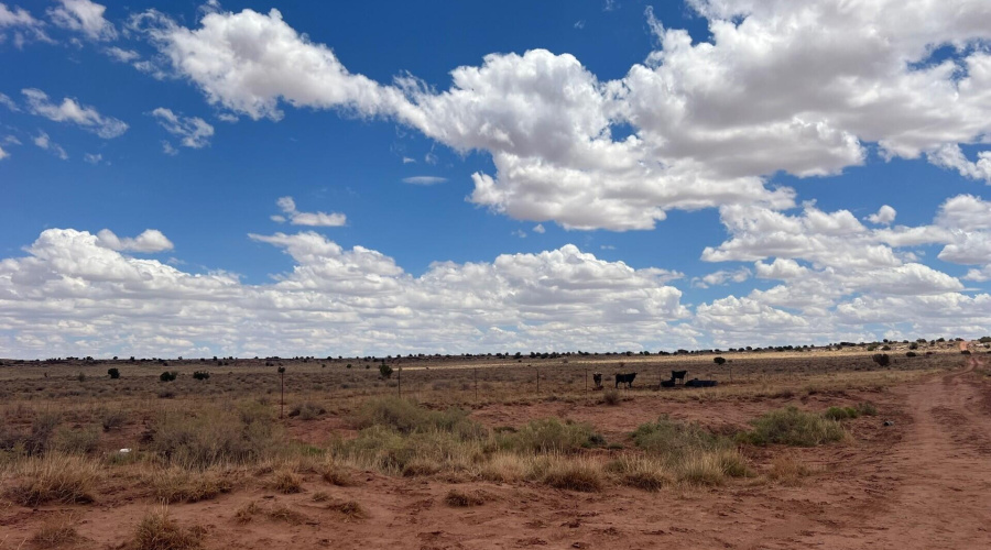 91256c33-01a0-4dcb-9b13-e50f8e9e4474