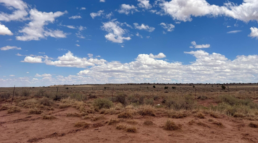 f1507a56-98e0-4599-bf35-e83e110d5347