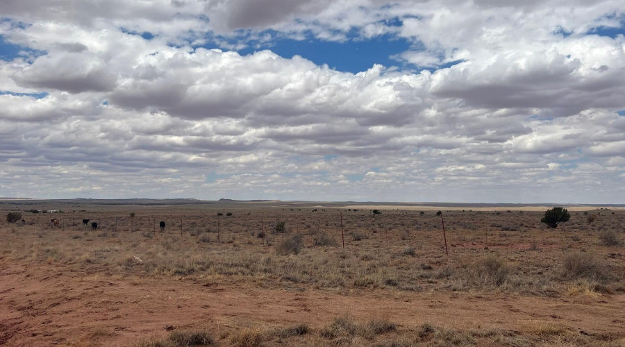 7a4e1f22-a539-4ee1-81c7-cbc7e1db31d6