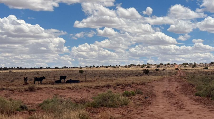 7b1b818b-0958-4b28-952b-476f2dbcae1c