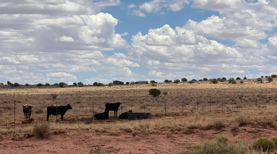 8b6a48bc-2fdc-40c4-ac50-e9563279fa8c