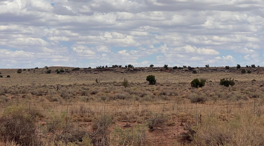 784d10e0-b060-4733-872f-9be509c2a3c4