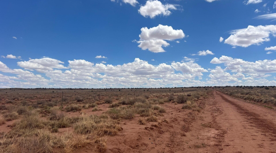 9181830b-cd1c-43af-8c8f-b172b92079ac