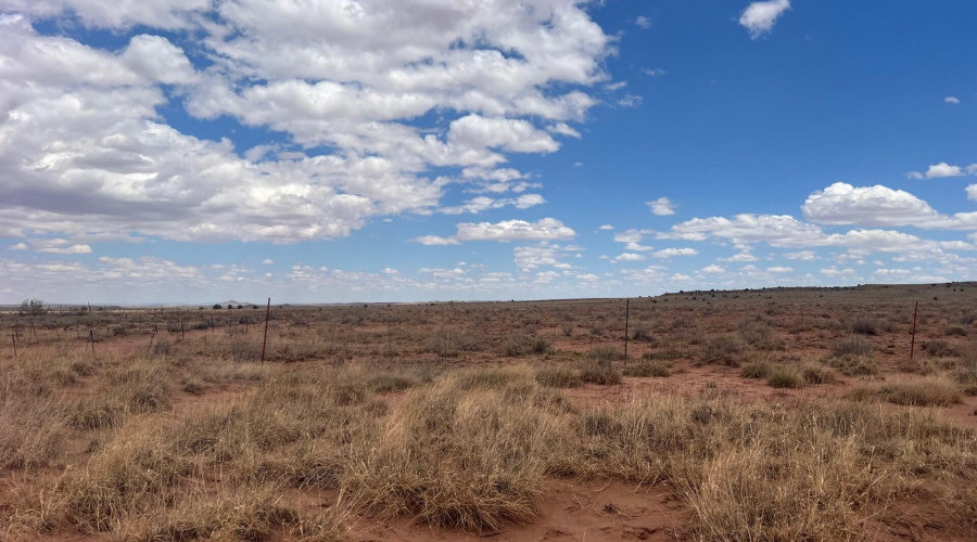 a8703d98-0d96-432f-919c-1b945878c599