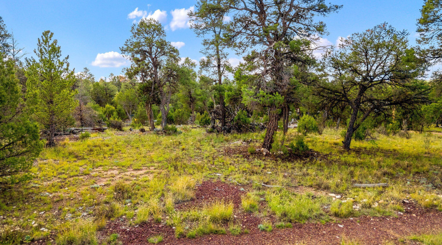 1909EChevelonRd-HeberOvergaard-AZ-13