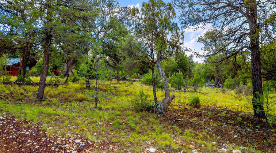 1909EChevelonRd-HeberOvergaard-AZ-14