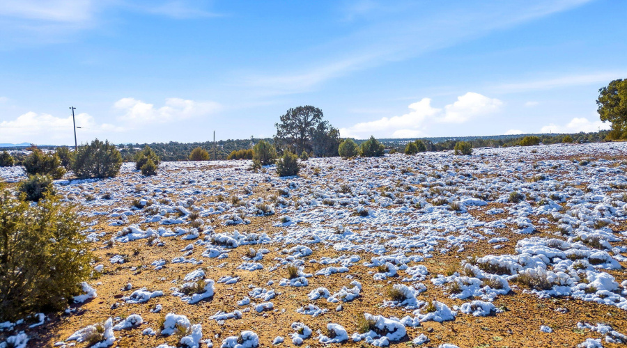 Parcel-032033-ShowLow-AZ-3