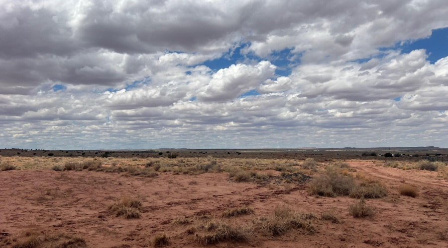 ba61e156-294b-41e1-8ef4-2302d50e26a1