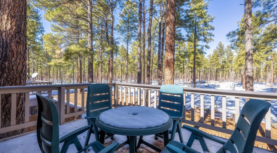 023_photo23_1460_adair_6_pinetop_lansten