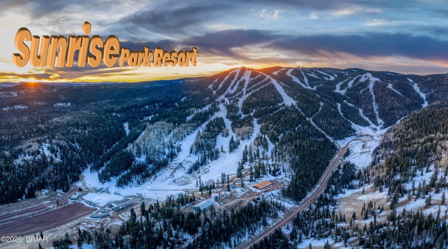 034_photo34_1460_adair_6_pinetop_lansten