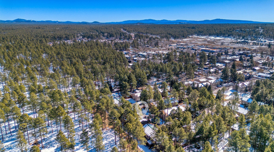 002_photo2_1460_adair_6_pinetop_lansten_