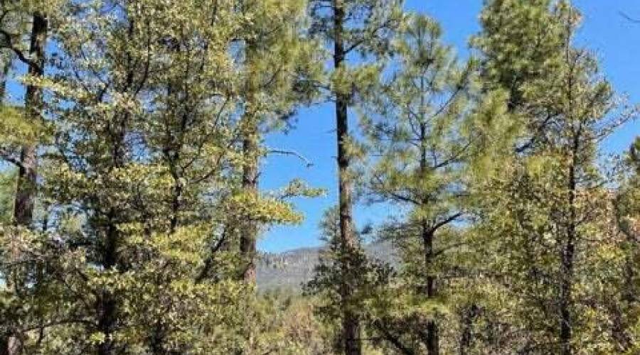 20230507150139457973000000-o